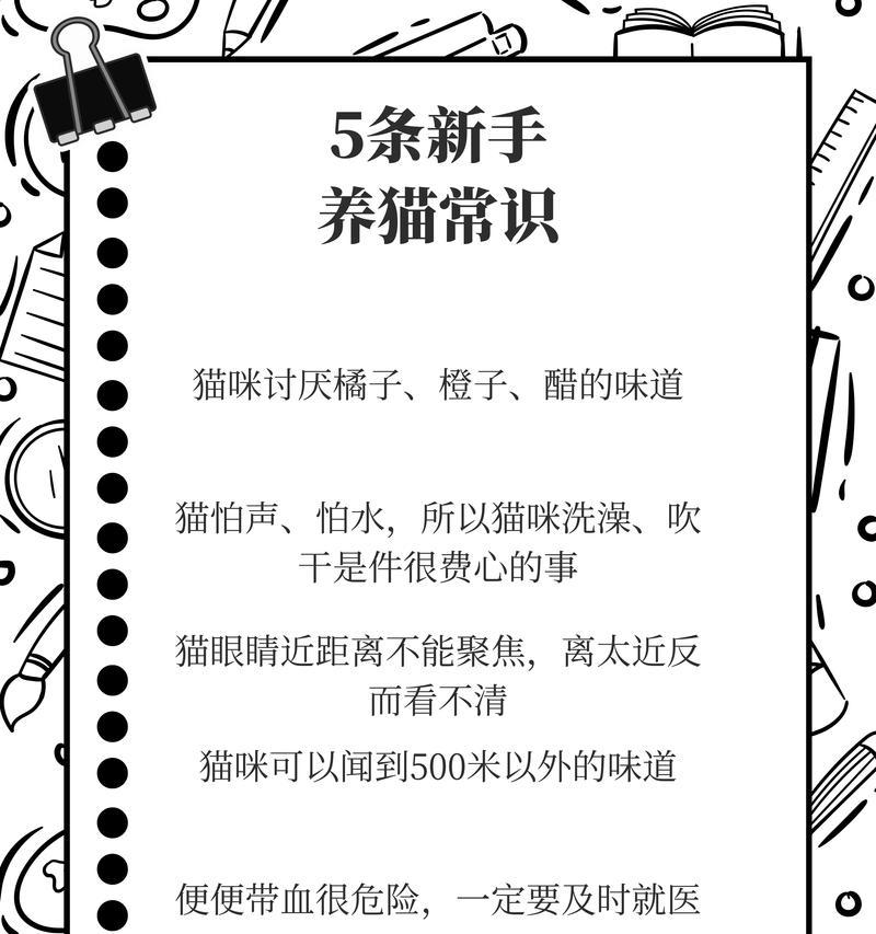 什么时候出的宽福猫粮？宽福猫粮的历史背景是什么？