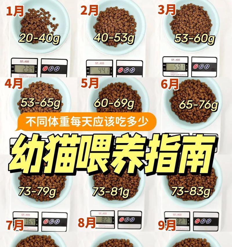 二月龄幼猫的猫粮喂养指南是什么？