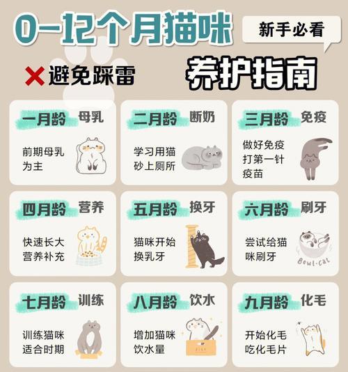 二月龄幼猫的猫粮喂养指南是什么？