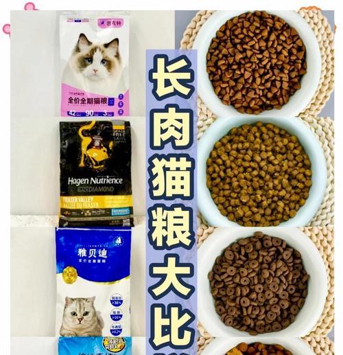 哪种猫粮适合给猫咪增肥？喂食方法是什么？