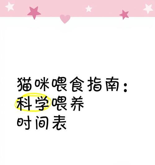 猫的喂粮公式是什么？如何科学喂养猫咪？
