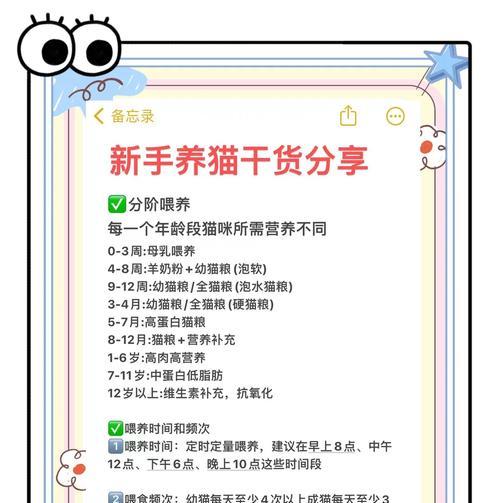 猫的喂粮公式是什么？如何科学喂养猫咪？
