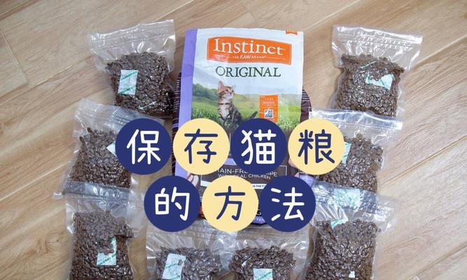 猫粮应该怎样存放？存放猫粮的正确方法有哪些？