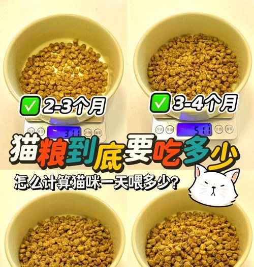猫粮放置一天后是否需要倒掉？