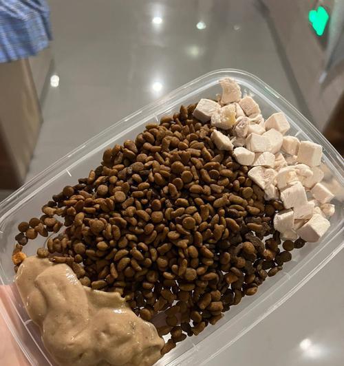 猫粮怎么给流浪猫藏好？如何安全地为流浪猫提供食物？