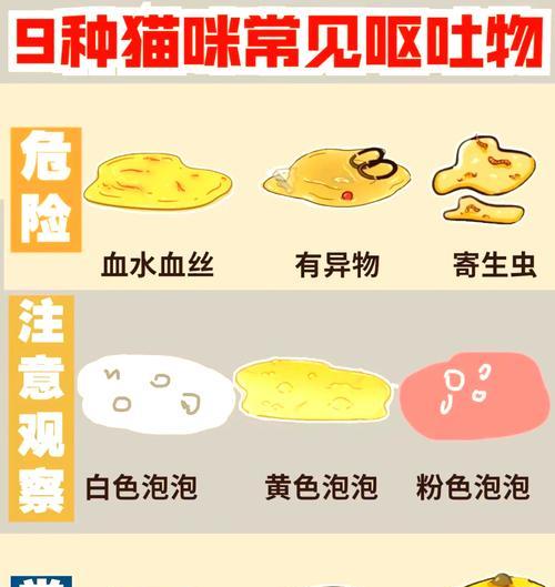 老年猫频繁呕吐粮的原因是什么？