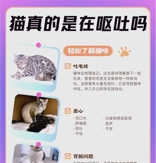老年猫频繁呕吐粮的原因是什么？