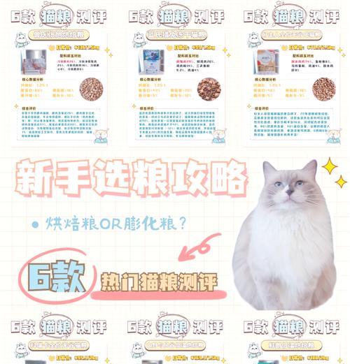 猫粮封口封不住怎么办？有哪些方法可以有效封存猫粮？