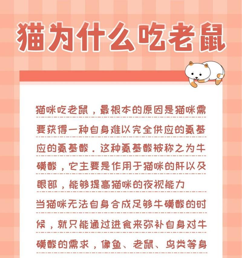 如何存放猫粮防止老鼠偷吃？