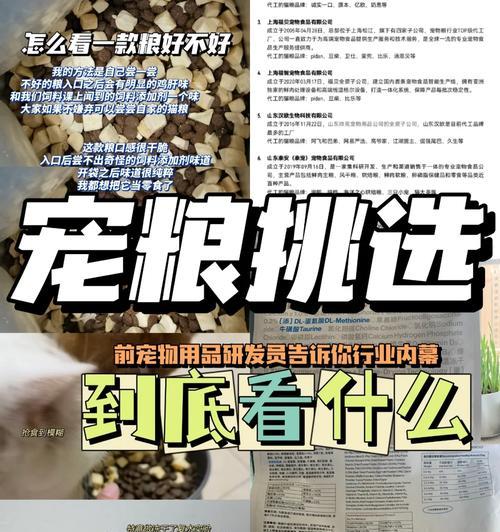 如何存放猫粮防止老鼠偷吃？