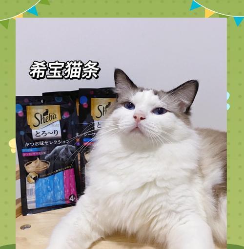 猫条混合猫粮猫咪不感兴趣？如何提高食欲？