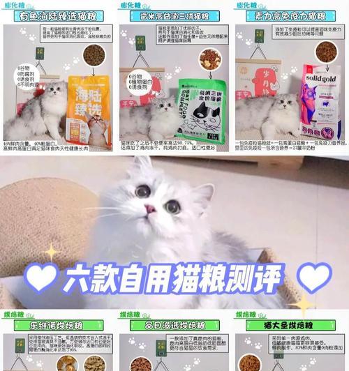 如何判断哪种猫粮适合自己的猫？