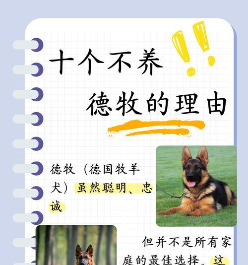 德牧声带手术需要多少费用？手术后如何护理？