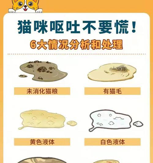 猫咪莫名奇妙吐猫粮怎么回事？呕吐背后可能的原因是什么？