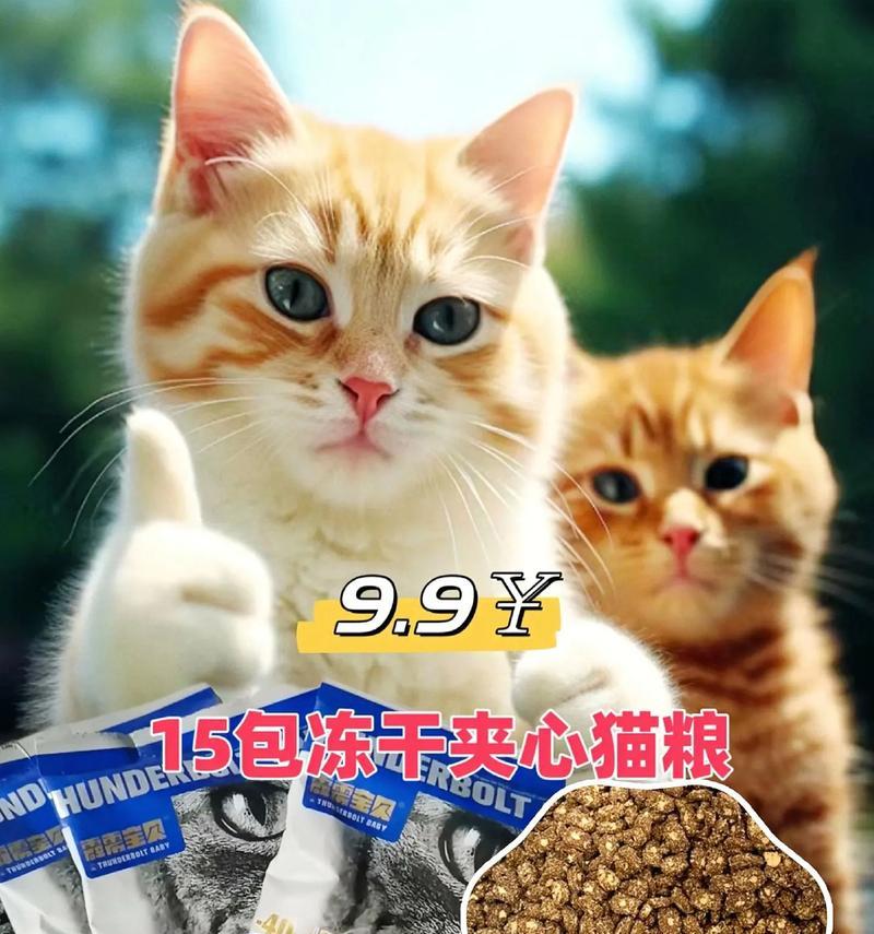 猫粮里什么是谷物类的食物？天上掉猫粮的猫叫什么？