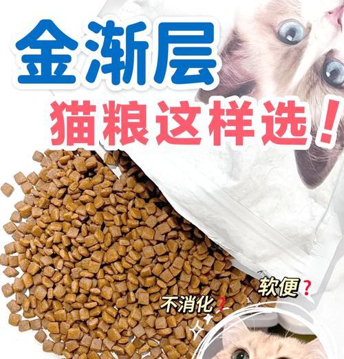 金渐层适合吃哪种类型的猫粮？如何选择？