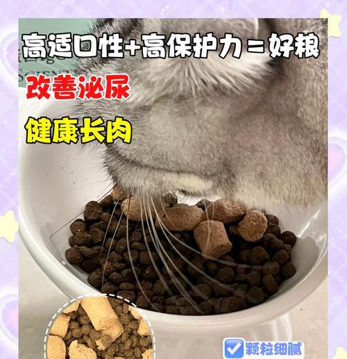 猫粮不慎进水了怎么办？有哪些有效的补救措施？