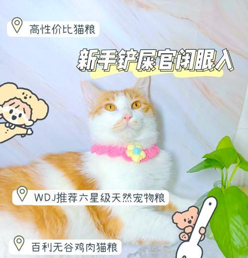带眼睛的猫粮是什么？这种猫粮有何特别之处？