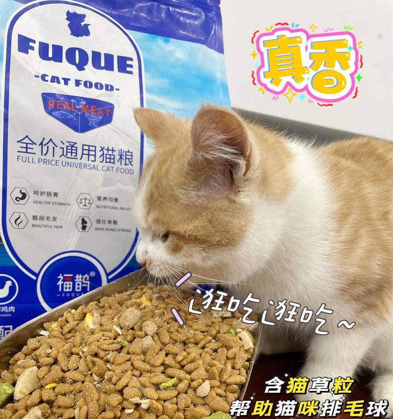 小老大猫咪日常食用的猫粮品牌是？