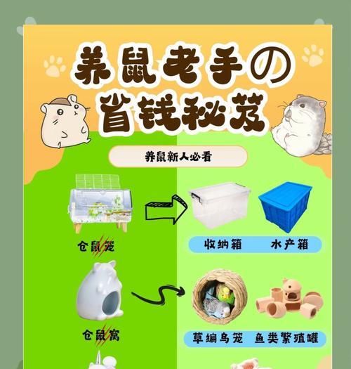 诸暨市哪里可以买到仓鼠？仓鼠的饲养需要注意什么？
