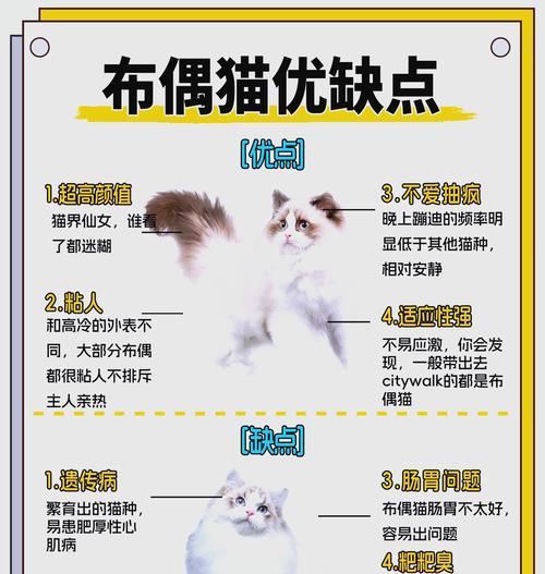 猫为什么总是要埋粮？这是什么行为？