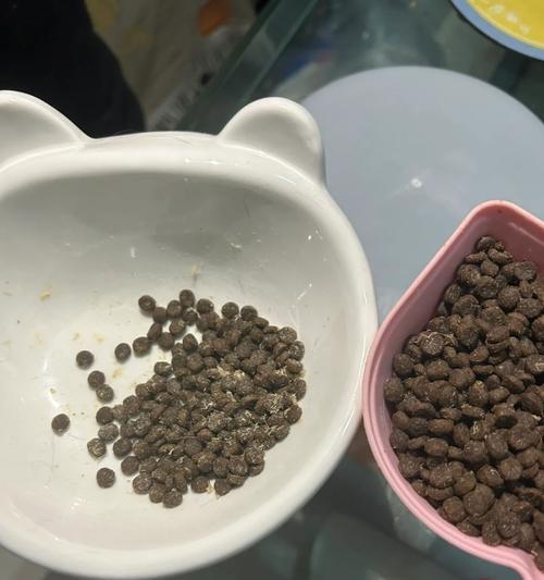 猫粮粘碗底的常见原因有哪些？