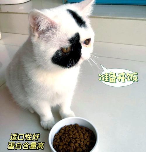 鸡吃猫粮会死掉吗？原因是什么？