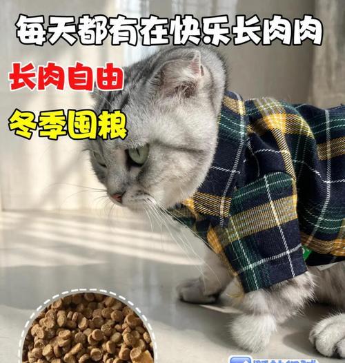 鸡吃猫粮会死掉吗？原因是什么？