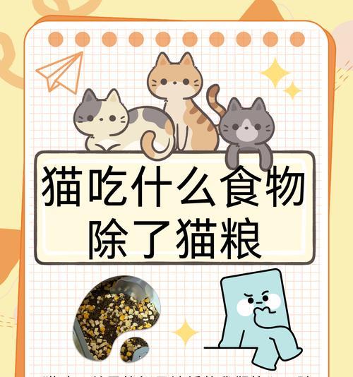 女星喂的是什么猫粮？女星选择的猫粮有什么特别之处？