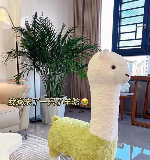 羊驼板凳脚损坏了如何进行修补？