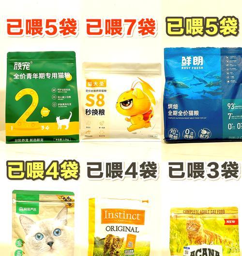 线下购买猫粮有哪些好去处？