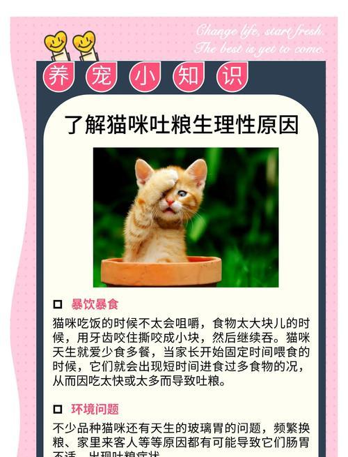 猫呕吐后为何会继续吃猫粮？