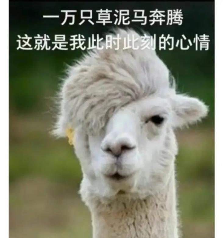 羊驼在骂人时代表什么？为何会成为网络用语？