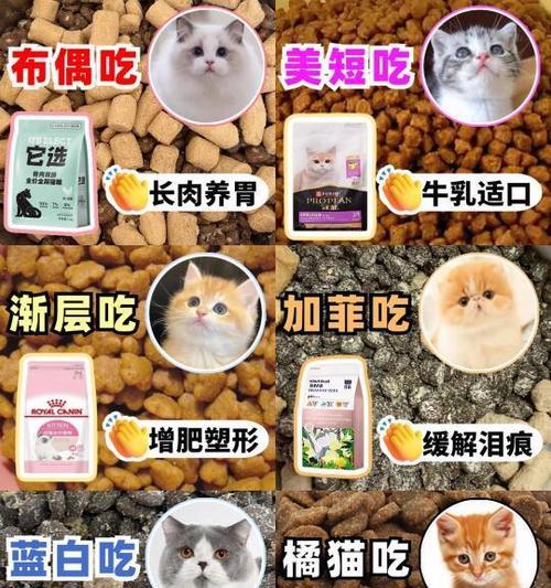 猫咪为何会躲闪猫粮？