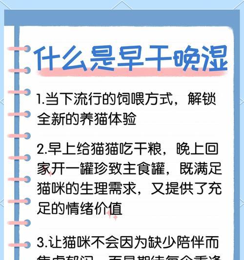 如何正确喂食幼猫湿粮？