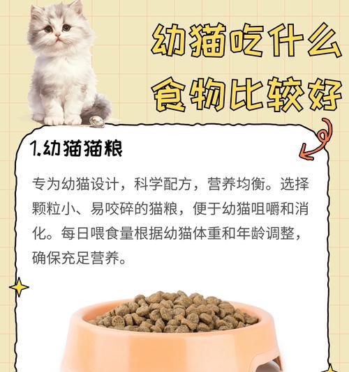 幼猫吃猫粮不消化应该吃什么？如何帮助它们更好地消化食物？