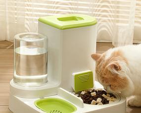 猫粮喂食器按压怎么教会猫咪？如何训练猫咪使用自动喂食器？