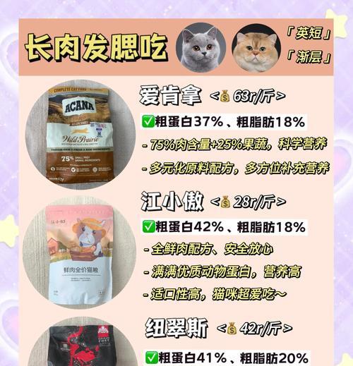 小猫偏爱吃成猫粮怎么办？如何引导小猫选择合适的猫粮？