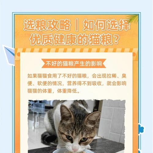 小猫偏爱吃成猫粮怎么办？如何引导小猫选择合适的猫粮？