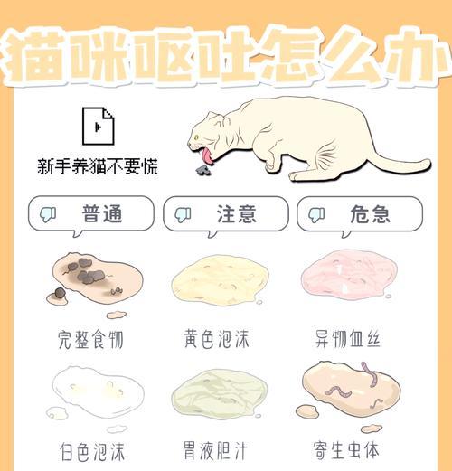 猫食用湿粮后吐白沫不吃食的原因是什么？