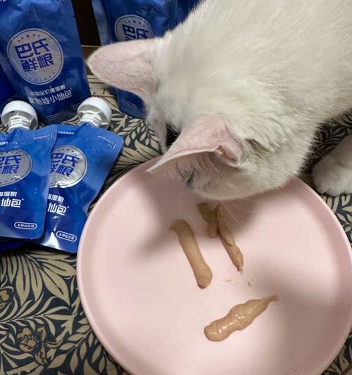 猫食用湿粮后吐白沫不吃食的原因是什么？