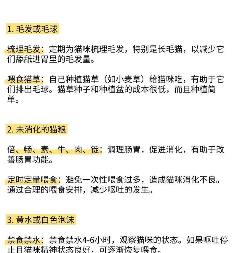 猫食用湿粮后吐白沫不吃食的原因是什么？