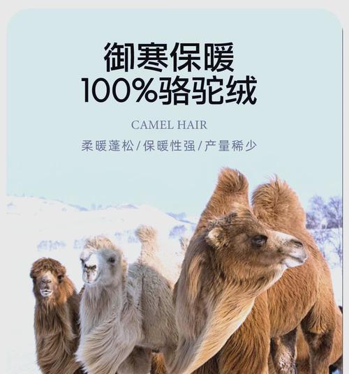 羊驼拉绒裤子搭配技巧是什么？适合哪些场合？