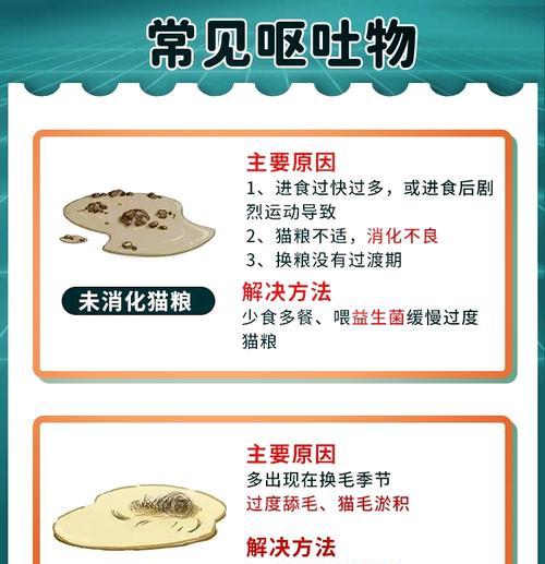 猫咪频繁踢翻猫粮的原因及解决方法是什么？