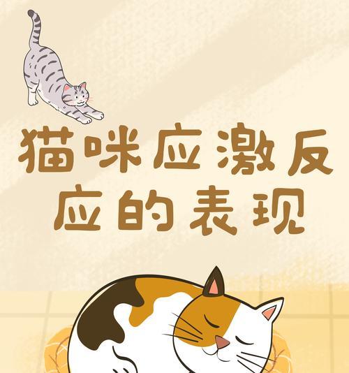 猫咪频繁踢翻猫粮的原因及解决方法是什么？