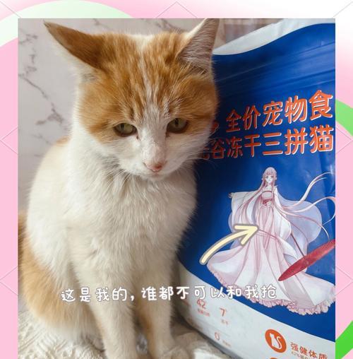 猫粮超大勺子的正确使用方法是什么？如何使用猫粮勺子更方便？