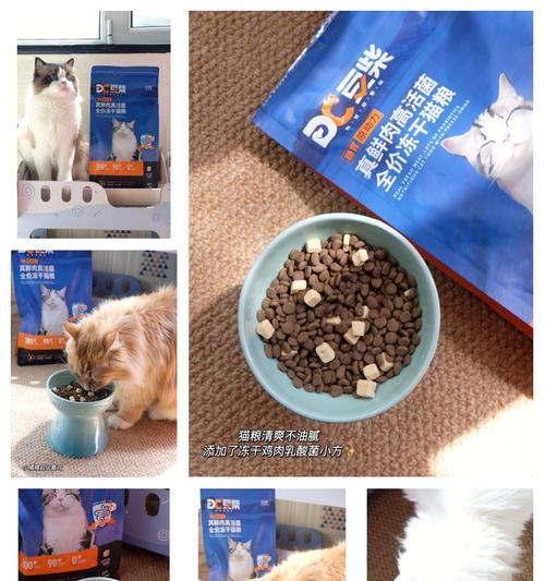 豆柴猫粮附赠的手提包有何特别？如何使用？
