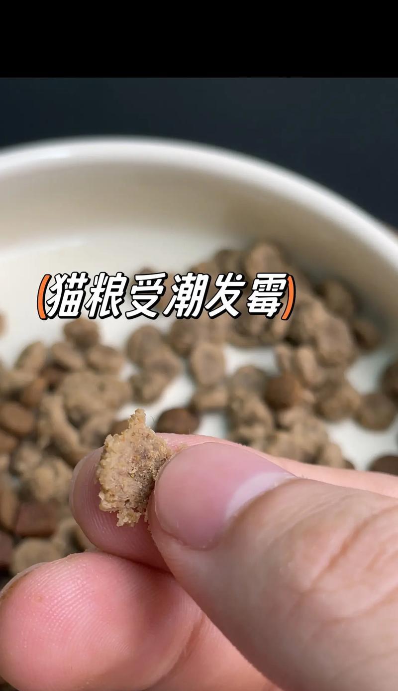 猫粮如何储存才能防止受潮？有哪些防潮小技巧？