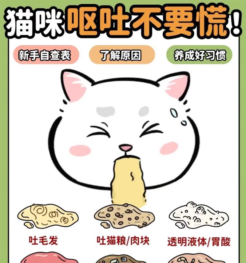 猫吐出未消化猫粮怎么办？如何处理猫未消化的猫粮问题？