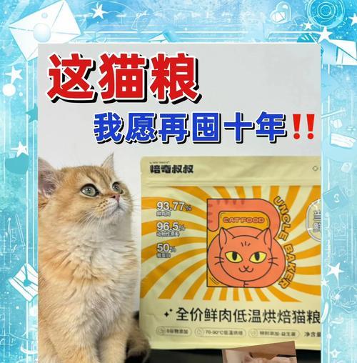 如何选择合适的猫粮让小猫变胖？